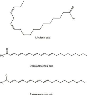 Fig.  1 - Molecular structures of linolenic acid, docosahexacnoic acid  and  eicosapentaenoic  acid.
