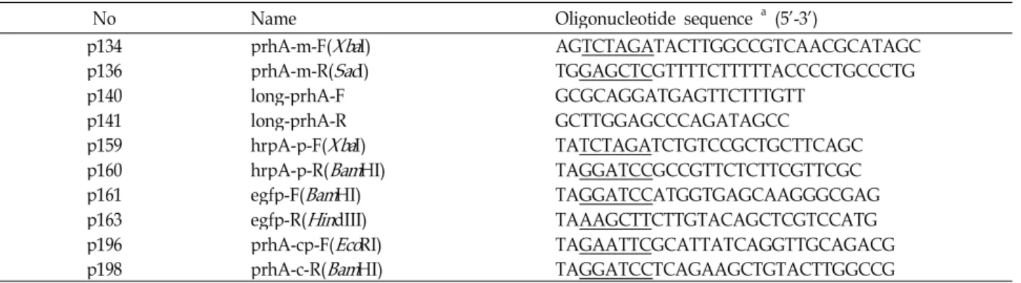 Table 2. Primers used in this study