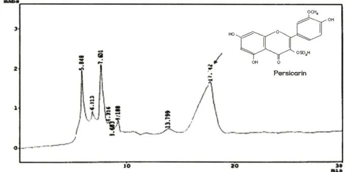 Fig.  1 - High  performance  liquid  chromatographic  pattern  of OJME.  The  retention  time  of persicarin,  a  major  constituent  of OJME,  was  16.3+1.5 min.
