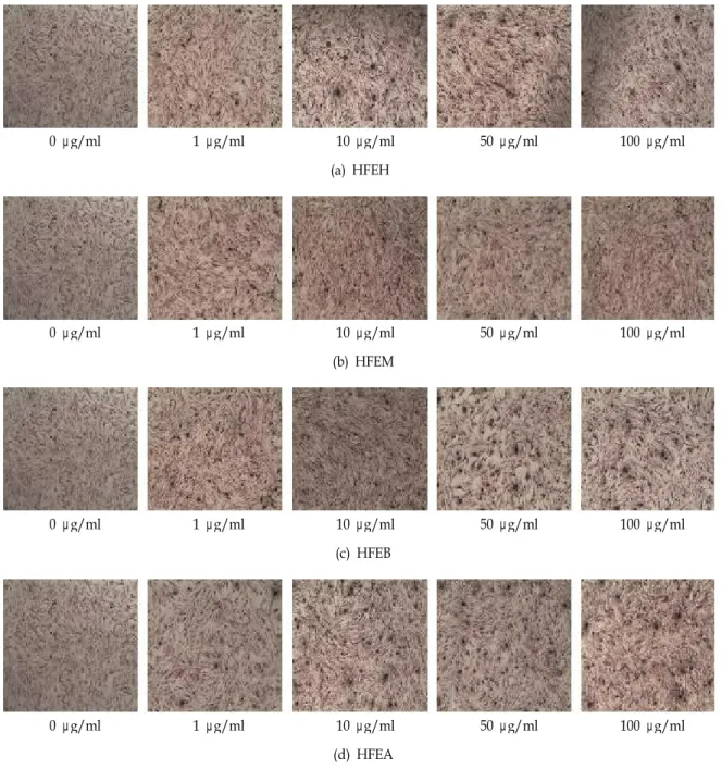 Fig. 5. Histochemical changes of various solvent fractions of Hijikia fusiforme on the mineralization of MC3T3-E1 osteoblastic cell.