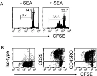 Fig. 1. In vitro cell stimulation system. (A) Human PBMCs were labeled with CFSE and stimulated with SEA for 72 hr.