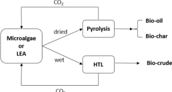 Figure  3  shows  the  scheme  of  LEA  recycling  by  incorporating  it  in- in-to  thermochemical  conversion  processes