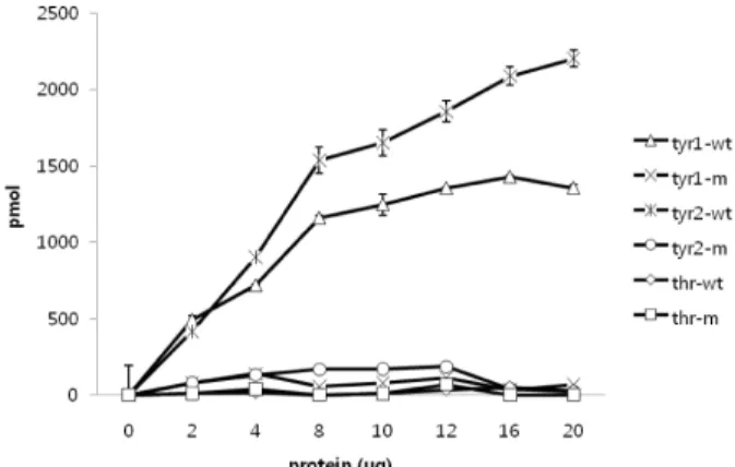 Fig. 4. Substrate specificity of DUSP28. 0.1 mM each of tyr1 (END(pY)INASL), tyr2 (DADW(pY)LIPQQG), and thr (RRA(pT)VA) were used as substrates