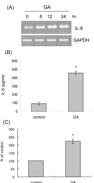 Fig. 1. The effect of GA on IL-6 expression. (A) Rat AoSMCs were treated for the indicated time periods with 1 mg/ml of GA, and IL-6 transcript was amplified by RT-PCR