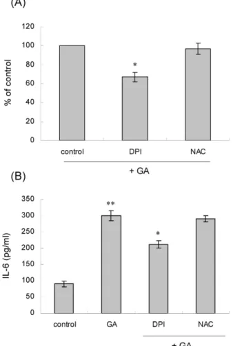 Fig. 5. The effects of NAC and DPI on GA-induced IL-6 expression. (A) Rat AoSMCs were transfected with wild-type pIL6-Luc construct and stimulated with GA (1 mg/ml, for 12 hr) after pre-incubation for 30 min with (10 μM) or NAC (5 mM)