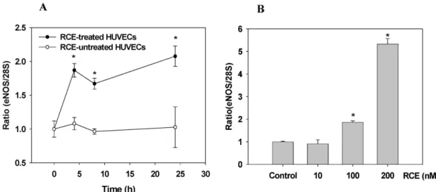 Fig. 4. Effect of RCE on mRNA expression of endothelial NO synthase in HUVECs. HUVECs were treated with RCE (100 nM) in a time-(A) and dose-(B) dependent manner for 4 hr at 37 o C under a humidified atmosphere of 5% CO 2 
