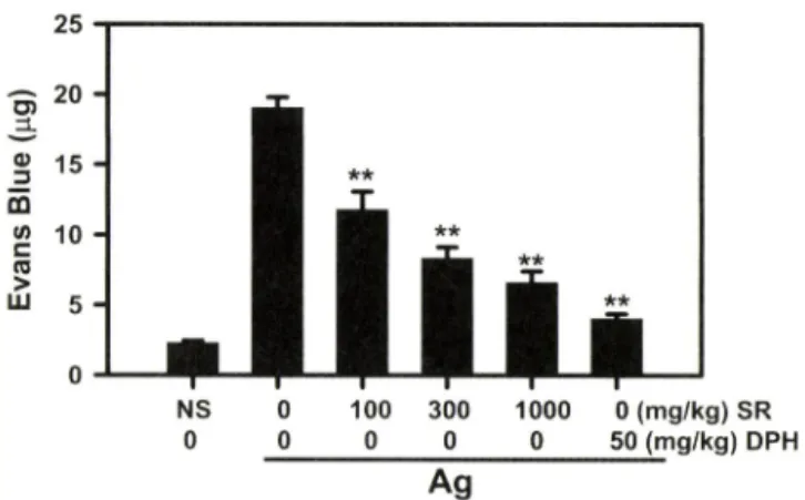 Fig.  4 - Effect of SR on passive cutaneous anaphylaxis in mice. An  DNP-specific IgE (0.5 |ag) was intradermally injected into a  mouse  right  ear