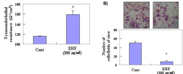 Fig. 2. Increased TER values and decreased invasion by EHF in AGS cells. (A) AGS cells were treated with or without 300 μg/ml of EHF for 48 hr and TER values were measured as described in the materials and methods section