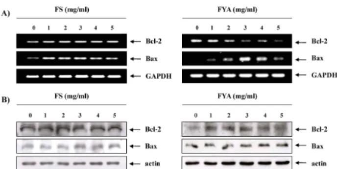 Fig. 3. Apoptosis induction of AGS cells by FS and FYA in AGS cells. Cells were treated with the indicated concentrations of FS and FYA for 48 hr, then collected and stained with PI for flow cytometry analysis