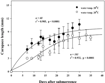 Fig. 1. Growth rate of T. longicaudatus on different water temperature. 28 o C에서 비교적 빠르게 생장하는 것을 알 수 있었다(p<0.05)