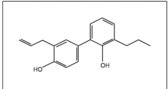 Fig.  1.  Molecular  structure  of  honokiol.  (C 18 H 18 O 2,  MW=266.33)