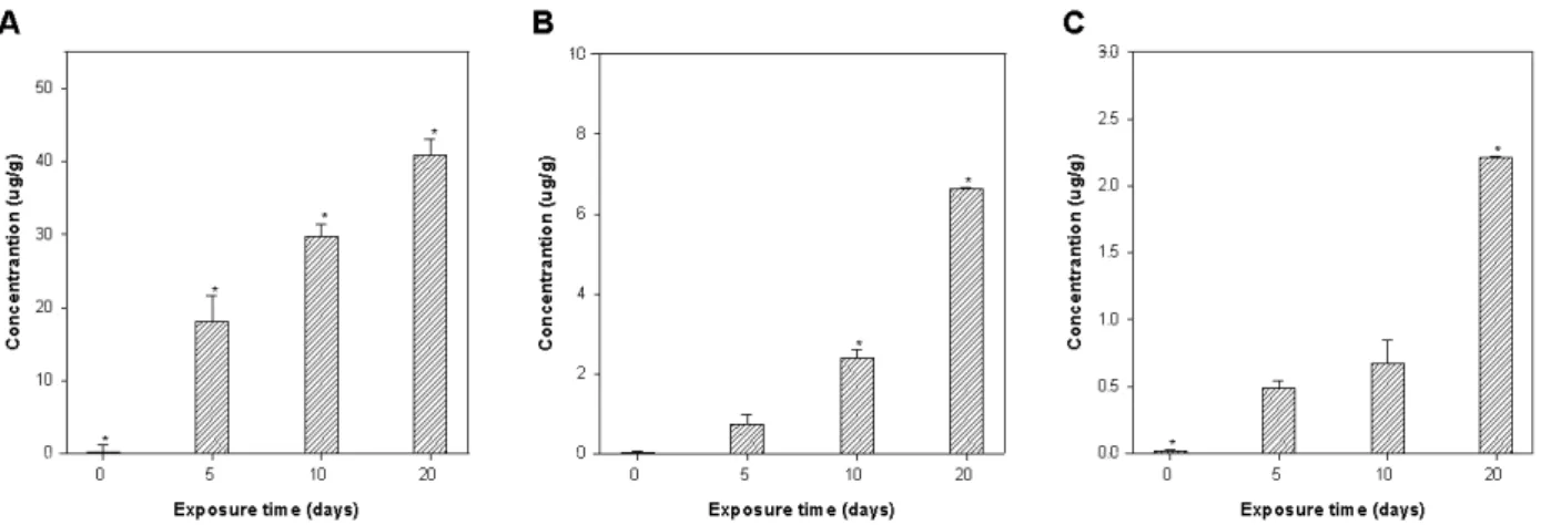 Fig.  2.  Contents  of  Cd  of  C.  auratus  tissues  during  20  days  exposed  to  Cd  0.3  mg/l  in  water