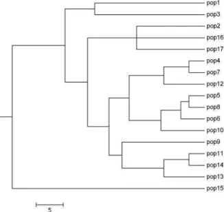 Fig. 1. A phenogram showing the relationships among 17 pop- pop-ulations of B. juncea , based on data obtained by RAPD.