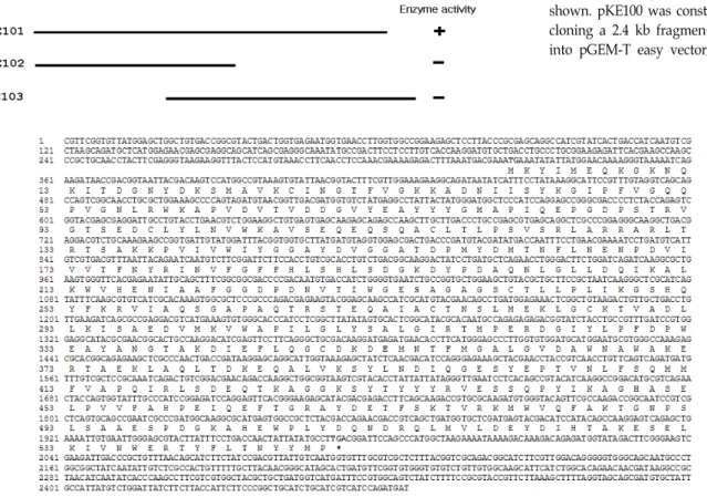 Fig.  2.  Nucleotide  sequence  and  deduced  amino  acid  sequence  of  est1R  gene.  The  nucleotide  sequence  is  numbered  from  the  total  bases