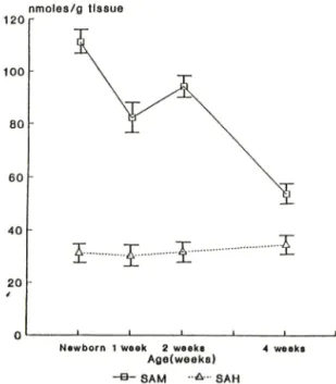 Fig.  I —Effect  of  age  on  the  concentrations  of  SAM  and  SAH  in  rat  liver.