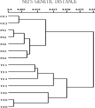 Fig. 2. A dendrogram showing the genetic similarity among the fourteen populations of C