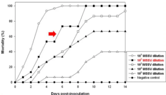Fig. 3. WSSV titration for the determination of optimal challenge pressure. Ten μl of 1×10 1 , 1×10 2 , 1×10 3 , 1×10 4 and 1×10 5 diluted WSSV stock were injected intramuscularly to L.