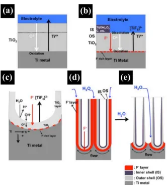 Figure  1.  Schematic  mechanism  for  the  formation  of  TiO 2   nanotubes  through  anodization;  (a)  electric-field  assisted  oxidation,  (b),  (c)  initial formation  of  porous  structure,  (d),  (e)  formation  of  tubular  structure  by  dissolvi