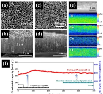 Figure  2.  SEM  images  of  TiO 2   nanotubes  (a),  (b)  before  and  (c),  (d)  after  spray  coating  of  Co 3 O 4 /CuO