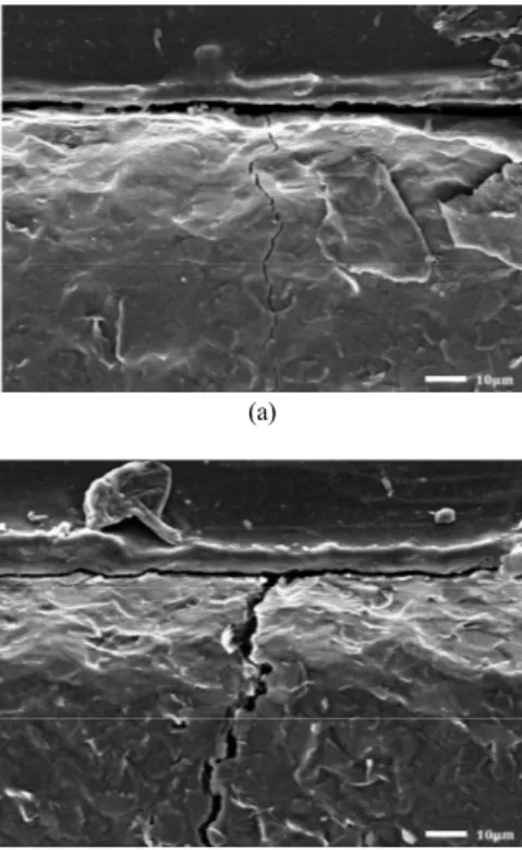 Figure  7.  SEM  images  of  the  conductive  ink  line  patterns  (a)  before  being  curved  and  (b)  after  being  curved  (Two  photos  were  taken  from different  line  patterns  which  were  fabricated  simultaneously  under  the  same  conditions)