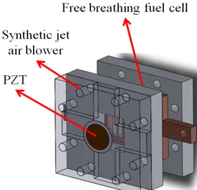 Fig. 9 Schematic diagram of free breading fuel cell  with synthetic jet air blower