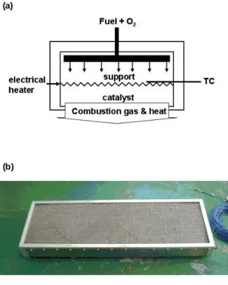 Fig. 2 Industrial dryer with catalytic burners; (a) P