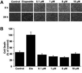 Fig. 1. Lycopene induces endothelial cell proliferation. BAECs were starved for 16 hr and treated with none, 20% FBS and various concentration of lycopene