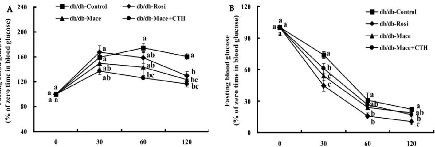 Fig. 3. Effects of the macelignn and CTH complex on the intraperitoneal glucose (A) and insulin tolerance (B) test (IPGTT &amp;