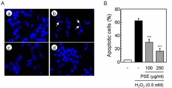 Fig. 3. Protective effect of PSE on the H 2 O 2 -induced oxidative stress in PC12 cells (A: Hoechst staining, B: Flow cytometric analysis).