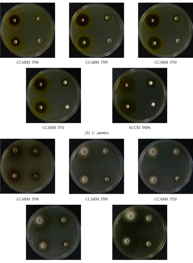 Fig. 1. Antibacterial activity of different kinds of solvent extracts on skin pathogenic bacteria