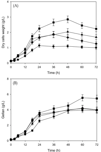 Fig.  2.  Effect  of  aeration  rate  on  cell  growth  (A)  and  the  pro- pro-duction  of  gellan  (B)  by  S