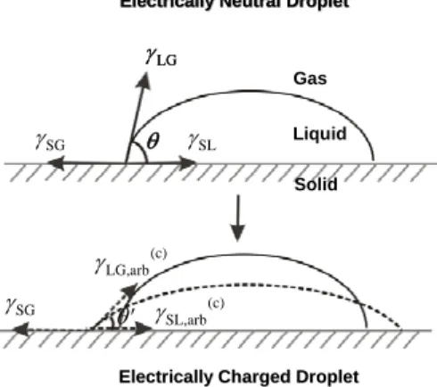 Fig. 5 Scheme of radial flow and resultant force due to  surface tension (Based on Levin and Hobbs (7) ) 