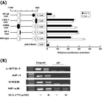 Fig. 3. Mutation promoter assay for the transcription factor binding sites in hST8Sia I gene and ChIP analysis of the hST8Sia I promoter