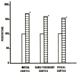 Fig.  1 — Comparison  between young and  aging mice  in  the  distribution  of nerve  cells of cerebral  cor­