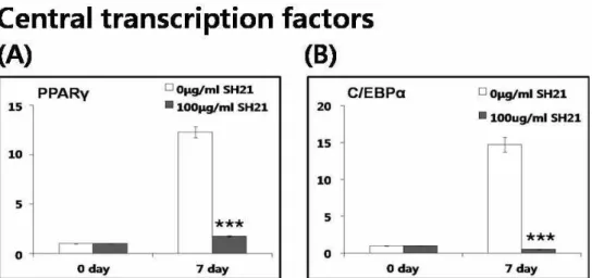 Fig. 2. Effects of platycodin D on the mRNA expressions of the central transcription factors of adipogenesis