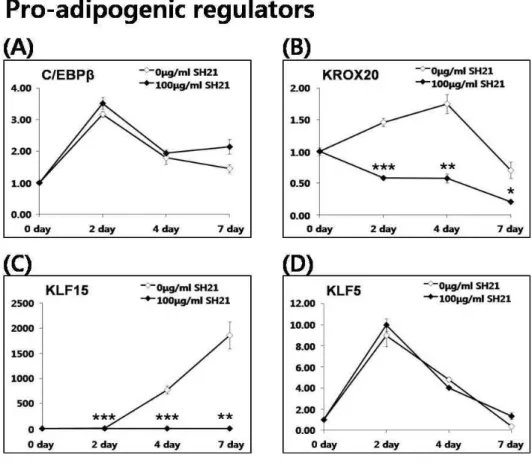 Fig. 3. Effects of SH21B on pro-adipogenic regulators located in the upstream of C/EBPα  and PPARγ