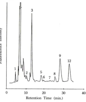 Fig.  9—Chromatogram  of  the  DMB  derivatives  of  ct-  keto  acids  obtained  from  normal  serum  sam­