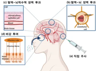 그림 1. 뇌 내 약물 전달 방법: (a) 직접 주사, (b) 혈액-뇌 장벽 투과, (c)  혈액-뇌척수액  장벽  투과,  (d)  비강  투여. 그림  2