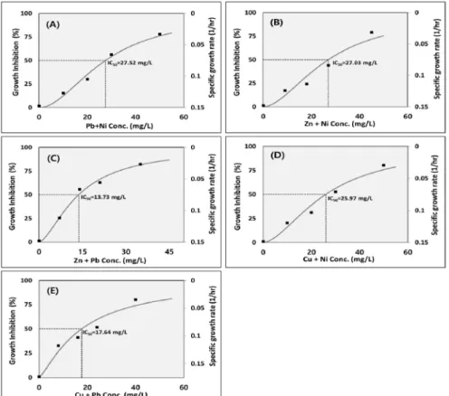 Figure  4-1.  Growth  inhibition  of  Alcaligenes  sp.  and  Pseudomonas  sp.  in  medium  containing  binary  heavy  metals;  (A)  Pb  +  Ni,  (B)  Zn  +  Ni,  (C)  Zn  +  Pb,  (D)  Cu+Ni,  (E)  Cu  +  Pb.
