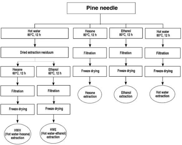 Fig.  1.  Schematic  diagram  of  the  extraction  processes  of  pine  needles. 도로 희석한 시료를 80 o C에서 60분,  100 o C  및 121 o C에서 10분  및 20분간 열처리한 후 paper  disc법을 이용하여 항균활성을  측정하였다