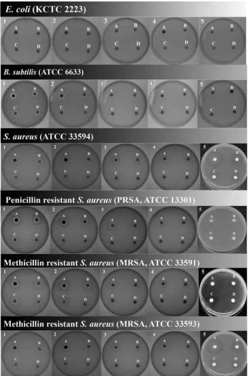 Fig.  2.  Antimicrobial  activities  of  various  pine  needle  extracts.  1:  HWH  extract,  2:  HWE  extract,  3:  hexane  extract,  4:  ethanol  extract,  5:  hot  water  extract,  A:  50  mg/ml,  B:  5  mg/ml,  C:  0.5  mg/ml,  D:  0.05  mg/ml.