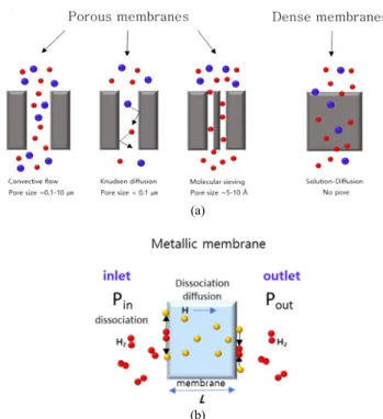Figure  2.  Schematic  diagram  of  (a)  separation  mechanisms  in  porous  membranes  with  the  difference  pore  size  and  dense  membrane  (b)  hydrogen  permeation  through  a  metallic  membrane[33,37].