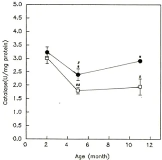 Fig.  3 —Glutathione in male SAM-R/1(#) and SAM-P/2  (□)  at  2,5  and  11  months  of  age
