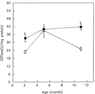 Fig.  5 —Glutathione  S-transferase  activities  in  male  SAM-R/K#)  and  SAM-P/2(n)  at  2,5  and  11  months  of  age