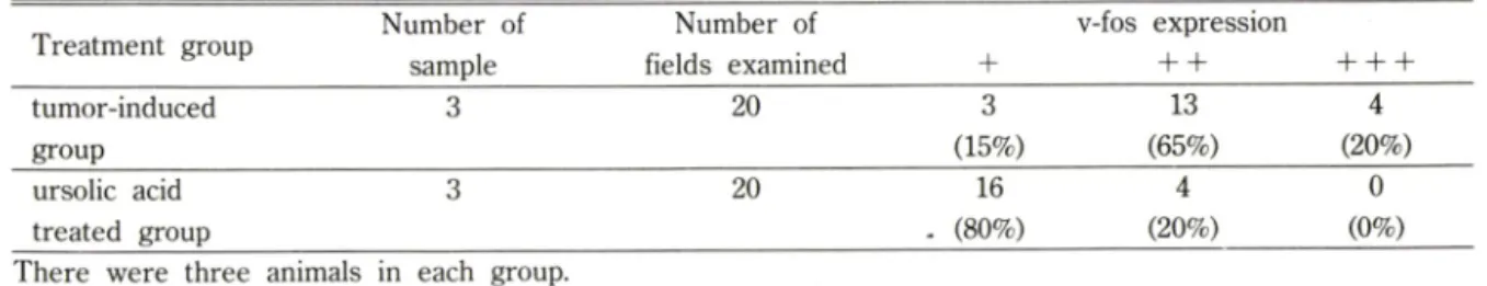 Table  I —V-fos  expression  in  ICR  mouse  muscle Treatment  group Number  of 