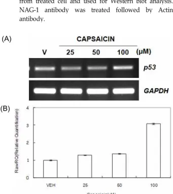 Table 2. Sequences of oligonucleotide primers used for RT-PCR and real-time PCR