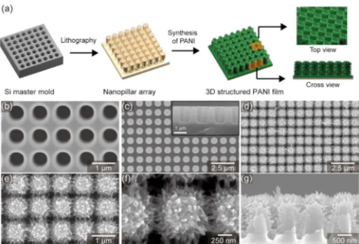 Figure  1.  (a)  A  schematic  image  for  fabrication  process  of  3D  PANI  electrode  and  the  SEM  images  of  (b)  Si  mold,  (c)  PUN  nanopillar,  (d,e,f)  top  and  (g)  cross  sectional  views  for  3D  PANI  structure.
