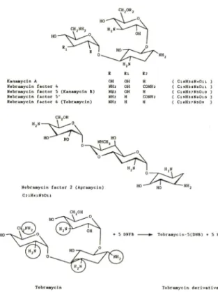 Fig.  1 — Structure  of  Nebramycin  factors  and  reaction  process.