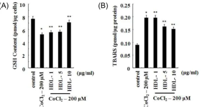 Fig. 4. The effect of HDL on intercellular GSH and lipid perox- perox-idation decreased by CoCl 2 in U2OS cells