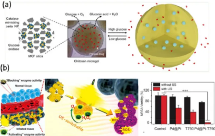 Figure  2.  Therapeutic  applications  of  catalase-like  nanoparticles.  (a)  Schematic  illustration  of  the  glucose-responsive  chitosan  microgel  encapsulating  nanoceria-loaded  MCF  and  protein  drugs[24]